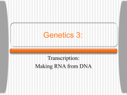 SBI 4U Genetics 3