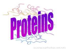 protein_folding