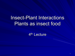 Insect-Plant Interaction - Home
