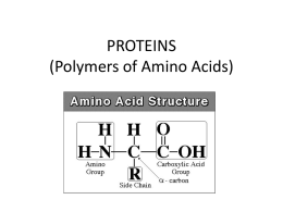PROTEINS (Polymers of Amino Acids)