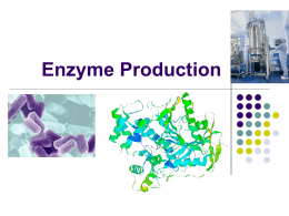 Enzyme Introduction