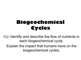BIOGEOCHEMICAL CYCLES
