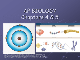 AP BIOLOGY Chapter 4 - Bremen High School District 228