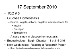 glucosehomeostasis3