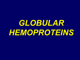 Globular protein slides