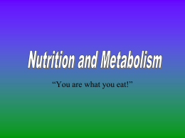 NutrientsandMetabolism