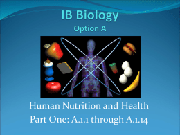 IB Biology Option A