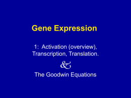 transcription factors