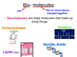 Bio-molecule