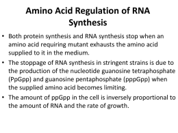 Amino Acid Regulation of RNA Synthesis
