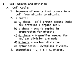 Mitosis, Meiosis, DNA Notes