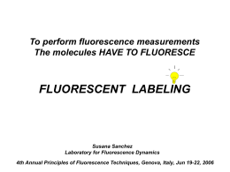 Fluorescent Protein - The Fluorescence Foundation