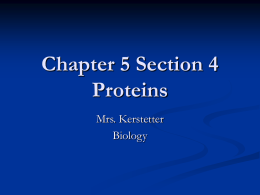 Chapter 5 Section 4 Proteins