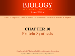 Protein Synthesis 06-07