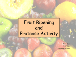 Janet: Enzymes and fruit ripening