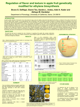 Regulation of flavor and texture in apple fruit genetically