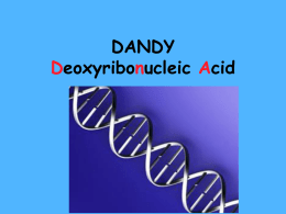 DANDY Deoxyribonucleic Acid