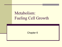Metabolism: Fueling Cell Growth