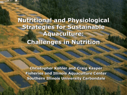 Nutritional and Physiological Strategies for Sustainable Aquaculture