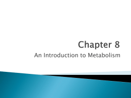 Chapter 8 PPT Notes