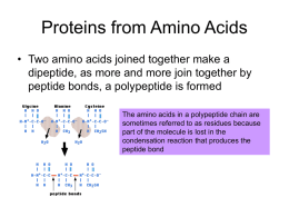 AS 2.1.1 Protein Structure