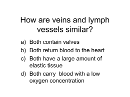 How are veins and lymph vessels similar?