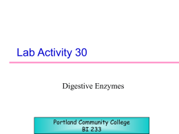 Lab Exercise 39 - PCC - Portland Community College