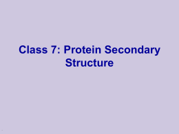 Secondary Structure