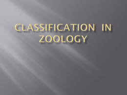I Zoology Taxonomy