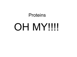 Proteins, Lipids, and Carbs!!!