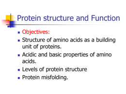 Protein structure and Function