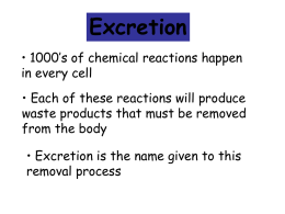 excretion
