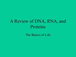 A Review of DNA, RNA, and Proteins