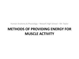 METHODS OF PROVIDING ENERGY for MUSCLE ACTIVITY