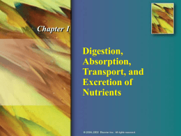 Digestion/Absorption/Transport/Excretion of Nutritients