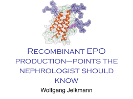 Recombinant EPO production–points the nephrologist should know