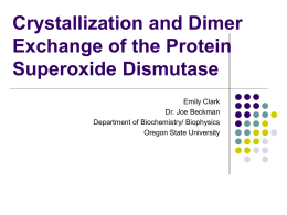 Crystallization of the Protein Superoxide Dismutase