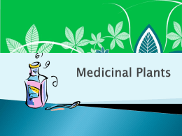 Medicinal Plants - biodiversitylisacook