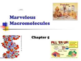 Marvelous Macromolecules - Pregitzersninjascienceclasses