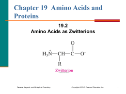 2. Amino Acids and Zwitterions