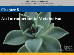 08_Lecture_Presentation