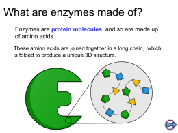 Characteristics of enzymes