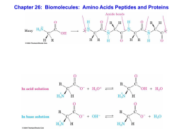 Chapter 26: Biomolecules: Amino Acids Peptides and Proteins