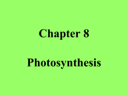 Chapter 8 - canesbio