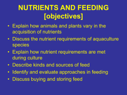 nutrients & feeding