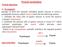 Protein mteabolism