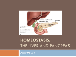 Homeostasis: Functions of the liver