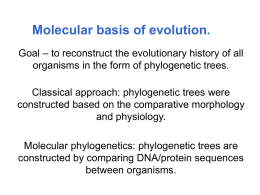 Molecular basis of evolution.