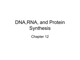 RNA and Protein