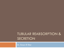 5&6Tubular reabsorption& Secretion2015-05